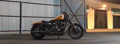 New 2019 Harley-Davidson® Sportster® Iron 883™