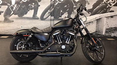 New 2019 Harley-Davidson® Sportster® Iron 883™
