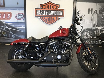 New 2019 Harley-Davidson® Sportster® Iron 883™