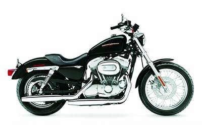 Used 2005 Harley-Davidson® Sportster® 883 Low