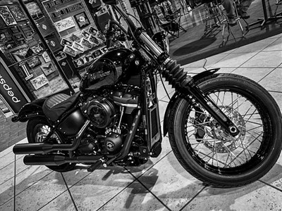 New 2019 Harley-Davidson® Softail® Street Bob®