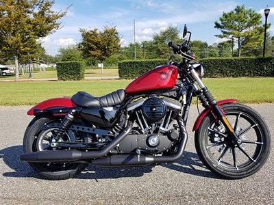 New 2019 Harley-Davidson® Sportster® Iron 883™