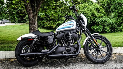 New 2019 Harley-Davidson® Sportster® Iron 1200™