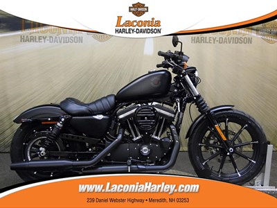 New 2019 Harley-Davidson® Sportster® Iron 883™