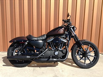 New 2019 Harley-Davidson® Sportster® Iron 883™