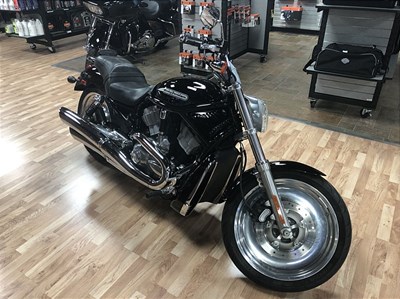 Used 2004 Harley-Davidson® V-Rod® - Black Frame
