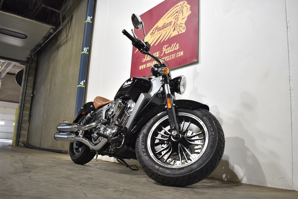 2019 Indian® Motorcycle Scout® (THUNDER BLACK), Sioux Falls, South Dakota (970020) | ChopperExchange