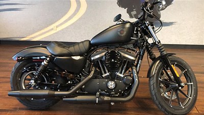 New 2019 Harley-Davidson® Sportster® Iron 883™