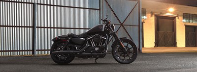New 2019 Harley-Davidson® Sportster® Iron 883™