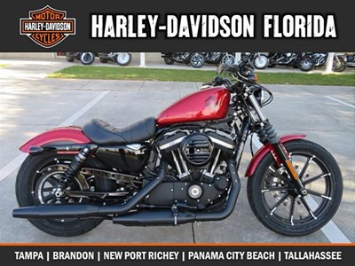New 2019 Harley-Davidson® Sportster® Iron 883™