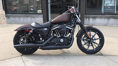New 2019 Harley-Davidson® Sportster® Iron 883™