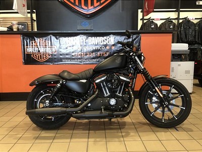 New 2019 Harley-Davidson® Sportster® Iron 883™