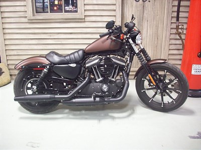 Used 2019 Harley-Davidson® Sportster® Iron 883™
