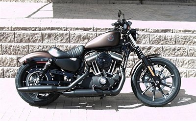 New 2019 Harley-Davidson® Sportster® Iron 883™