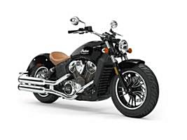 New 2019 Indian® Scout®