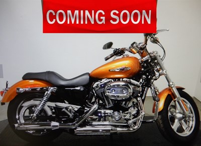 Used 2015 Harley-Davidson® Sportster® 1200 Custom