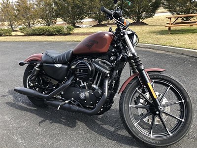 Used 2017 Harley-Davidson® Sportster® Iron 883™