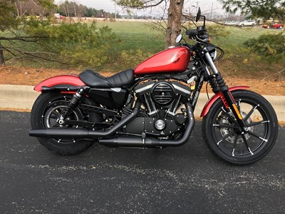 New 2019 Harley-Davidson® Sportster® Iron 883™