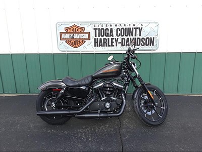 New 2019 Harley-Davidson® Sportster® Iron 883™