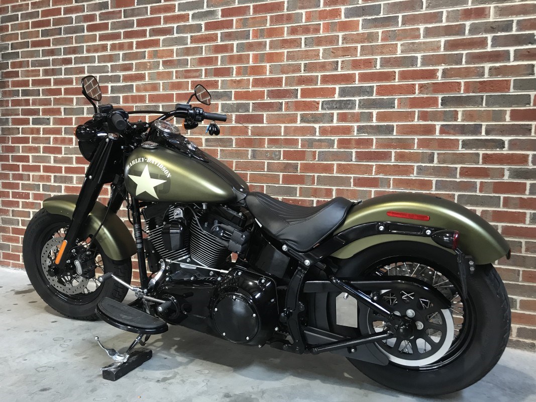 2016 HarleyDavidson® FLS Softail® Slim® S (Olive Gold Denim