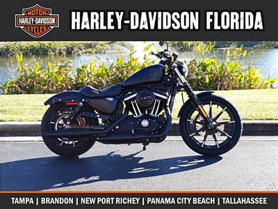 New 2019 Harley-Davidson® Sportster® Iron 883™