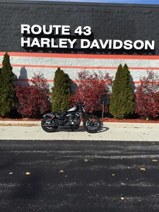 Used 2017 Harley-Davidson® Sportster® Iron 883™