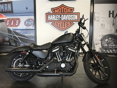 New 2019 Harley-Davidson® Sportster® Iron 883™