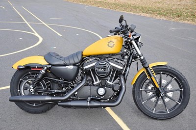 New 2019 Harley-Davidson® Sportster® Iron 883™