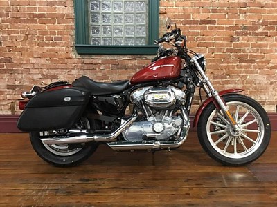 Used 2006 Harley-Davidson® Sportster® 883 Low