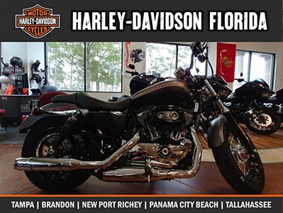 New 2019 Harley-Davidson® Sportster® 1200 Custom