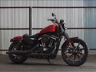 New 2019 Harley-Davidson® Sportster® Iron 883™