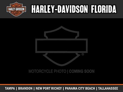 New 2019 Harley-Davidson® Sportster® Iron 883™