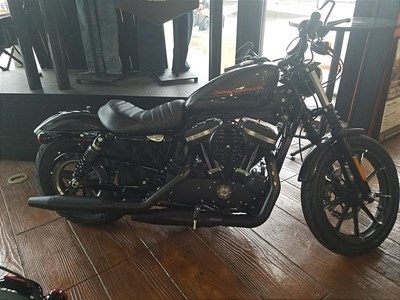 New 2019 Harley-Davidson® Sportster® Iron 883™