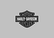Used 1999 Harley-Davidson® Electra Glide® Classic