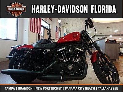 New 2019 Harley-Davidson® Sportster® Iron 883™