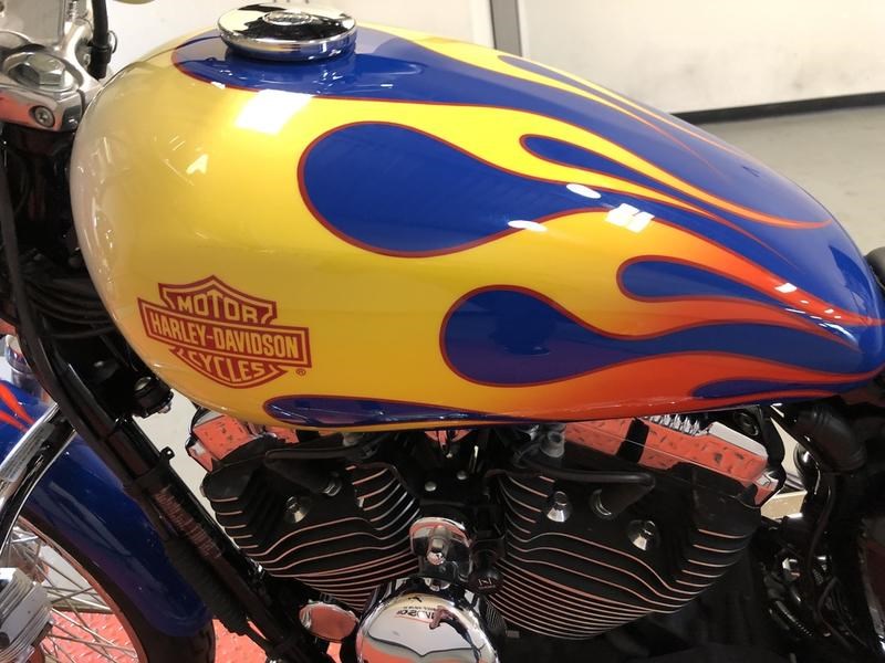 2005 HarleyDavidson® XL1200C Sportster® 1200 Custom (HD Radical Paint