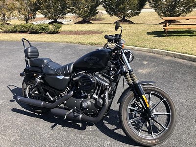 New 2019 Harley-Davidson® Sportster® Iron 883™