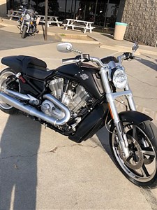 Used 2016 Harley-Davidson® V-Rod® Muscle