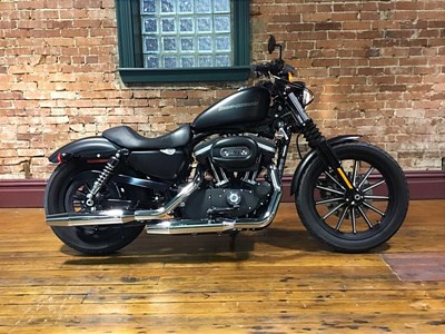 Used 2009 Harley-Davidson® Sportster® Iron 883™