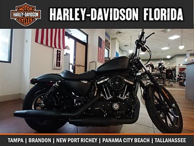 New 2019 Harley-Davidson® Sportster® Iron 883™