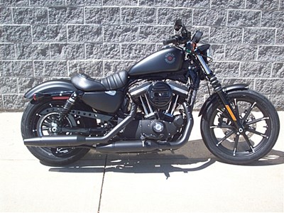 New 2019 Harley-Davidson® Sportster® Iron 883™
