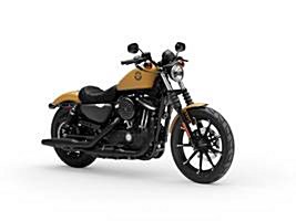 New 2019 Harley-Davidson® Sportster® Iron 883™