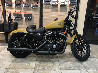 New 2019 Harley-Davidson® Sportster® Iron 883™