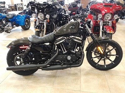 New 2019 Harley-Davidson® Sportster® Iron 883™