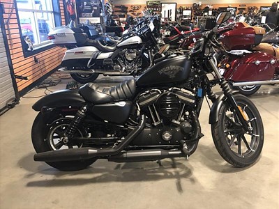 Used 2017 Harley-Davidson® Sportster® Iron 883™