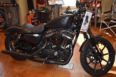 New 2019 Harley-Davidson® Sportster® Iron 883™