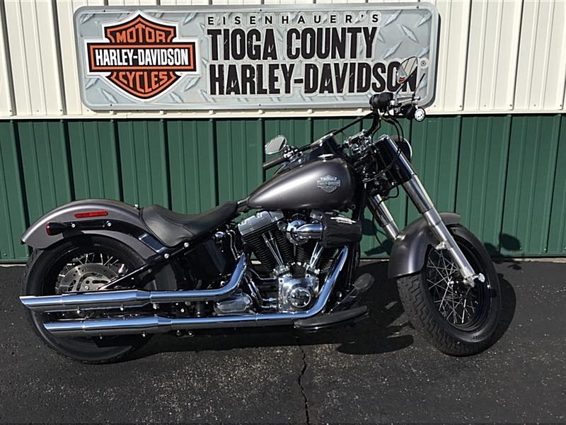2015 HarleyDavidson® FLS Softail® Slim® (Charcoal Satin), Mansfield