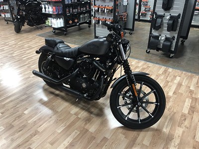 Used 2017 Harley-Davidson® Sportster® Iron 883™