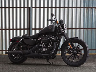 New 2019 Harley-Davidson® Sportster® Iron 883™