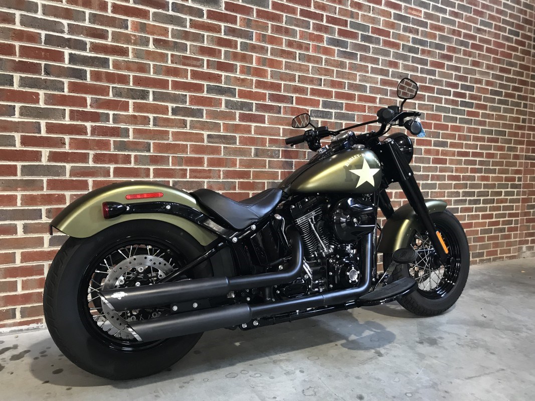 2016 HarleyDavidson® FLS Softail® Slim® S (Olive Gold Denim
